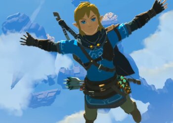 Tears of the Kingdom Player Constructs Remarkable Goose in Gameplay