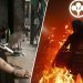 Cyberpunk 2077 Mod Adds a Fun Twist: Get Unexpected Cat and Dog Facts During Emotional Keanu Reeves Scenes