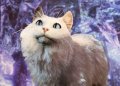 Baldur’s Gate 3 Hotfix Resolves Color Glitches, but Disrupts Immersion with Obedient Cats