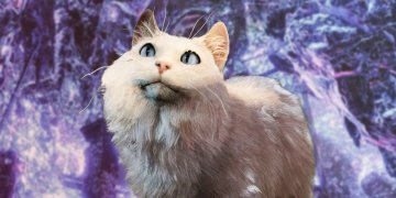 Baldur’s Gate 3 Hotfix Resolves Color Glitches, but Disrupts Immersion with Obedient Cats