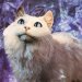 Baldur’s Gate 3 Hotfix Resolves Color Glitches, but Disrupts Immersion with Obedient Cats